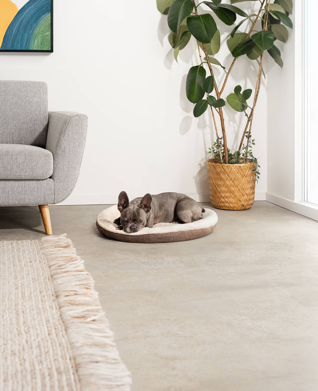 lionto Hundebett in weichem Doughnut-Design mit Plüsch & Anti-Rutsch-Boden, Bezug waschbar, 65 cm Durchmesser, braun