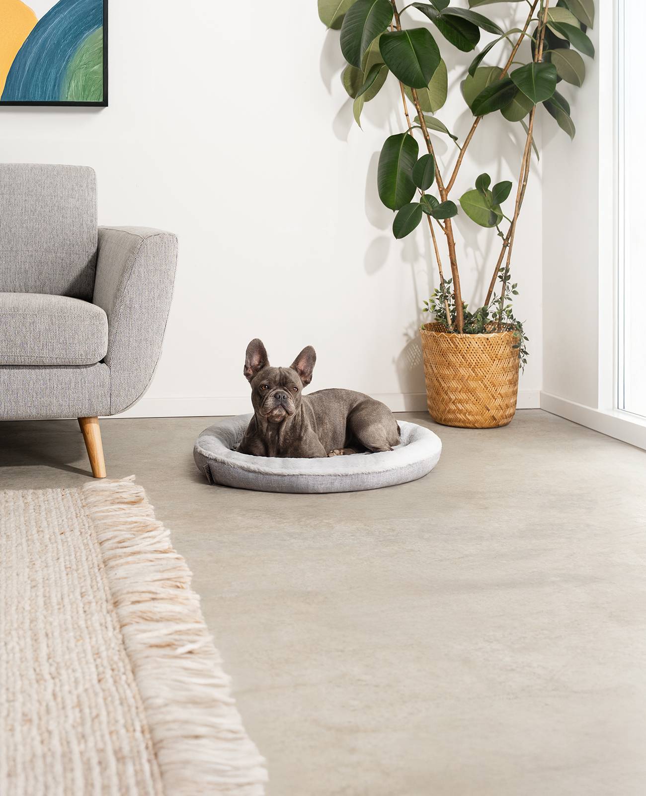 lionto Hundebett in weichem Doughnut-Design mit Plüsch & Anti-Rutsch-Boden, Bezug waschbar, 65 cm Durchmesser, grau