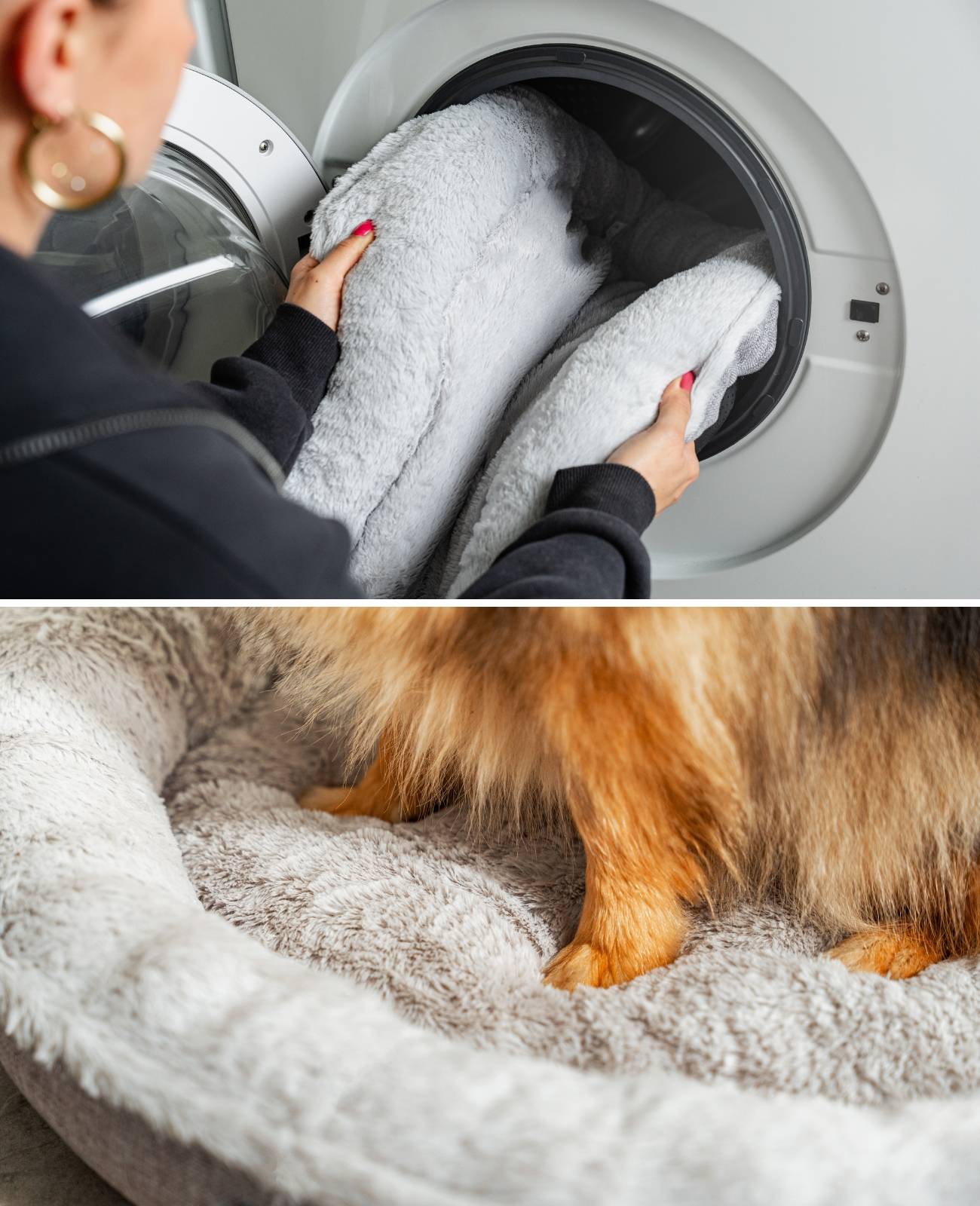 lionto Hundebett in weichem Doughnut-Design mit Plüsch & Anti-Rutsch-Boden, Bezug waschbar, 55 cm Durchmesser, grau