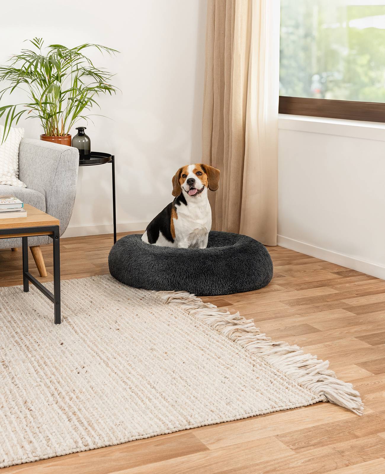 lionto Hundebett aus Plüsch in Donut-Form, 80 cm Durchmesser, dunkelgrau