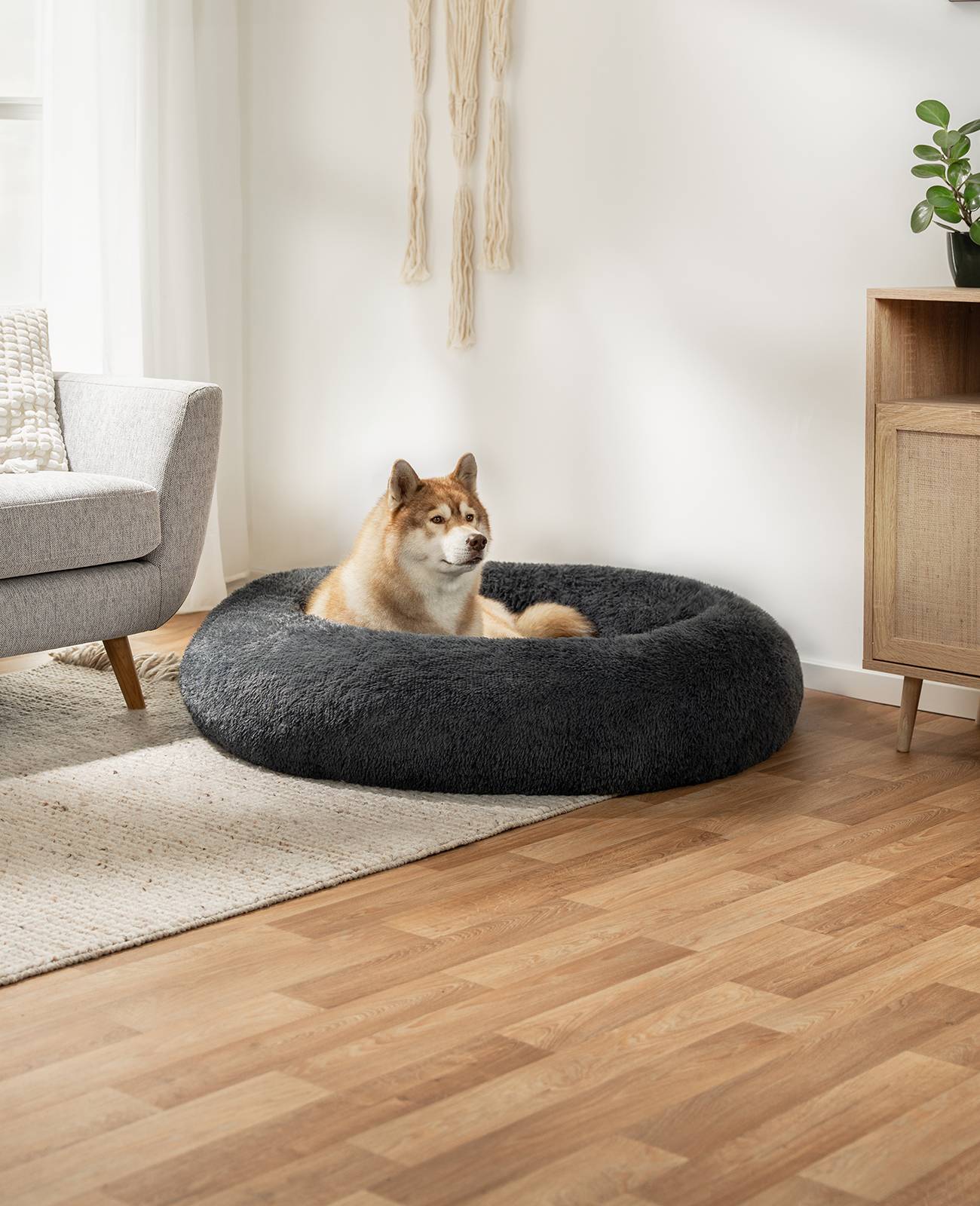 lionto Hundebett aus Plüsch in Donut-Form, 120 cm Durchmesser, dunkelgrau