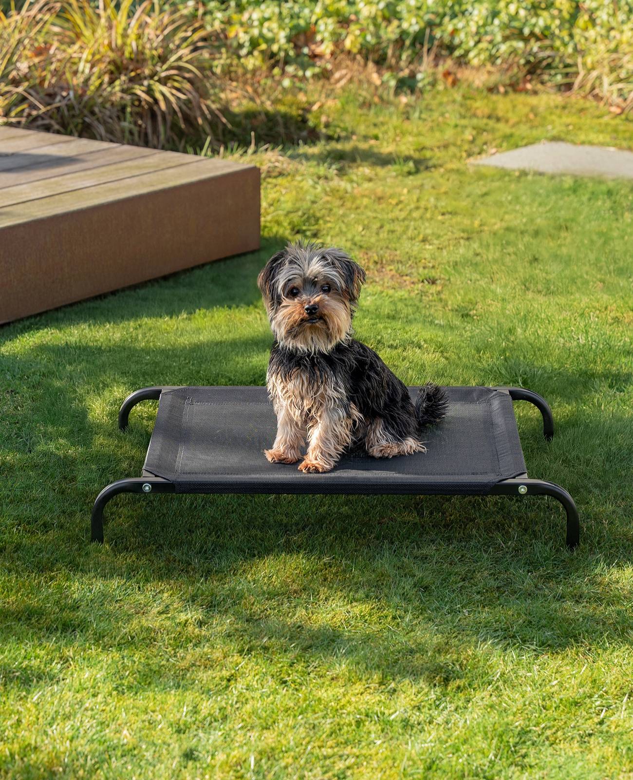 lionto Hundeliege, bequemes Outdoor Hundebett mit Netzgewebe, erhöht, luftig & wetterfest, 75x47 cm, schwarz