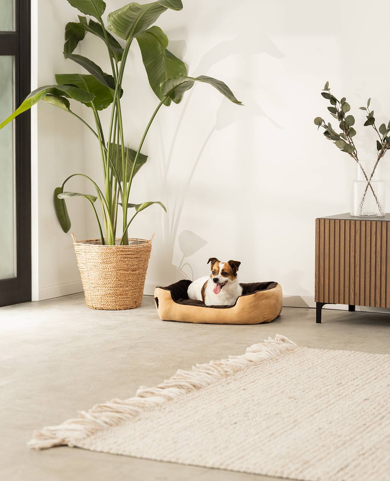 lionto Hundebett, weiches Kuschelbett mit herausnehmbarem Wendekissen & Anti-Rutsch-Boden, 60x48 cm, beige/braun