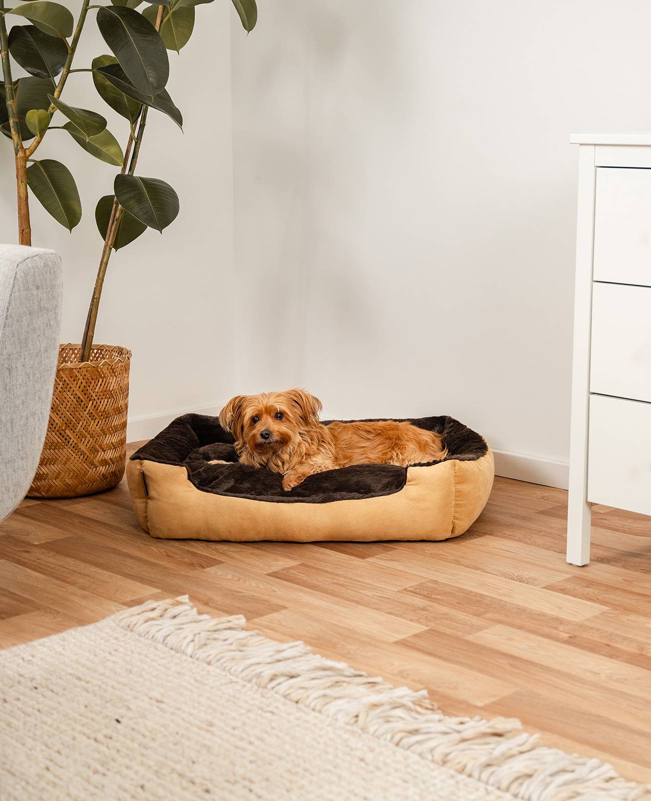 lionto Hundebett, weiches Kuschelbett mit herausnehmbarem Wendekissen & Anti-Rutsch-Boden, 75x60 cm, beige/braun