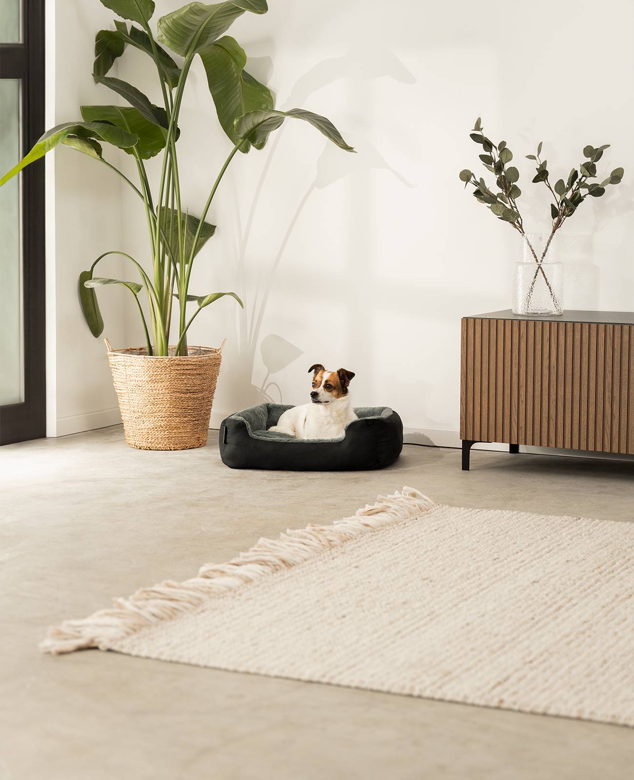 lionto Hundebett, weiches Kuschelbett mit herausnehmbarem Wendekissen & Anti-Rutsch-Boden, 60x48 cm, schwarz/grau