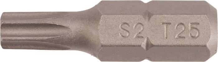 Bit P829166 1/4 Zoll T 25 L.25mm TECWERK