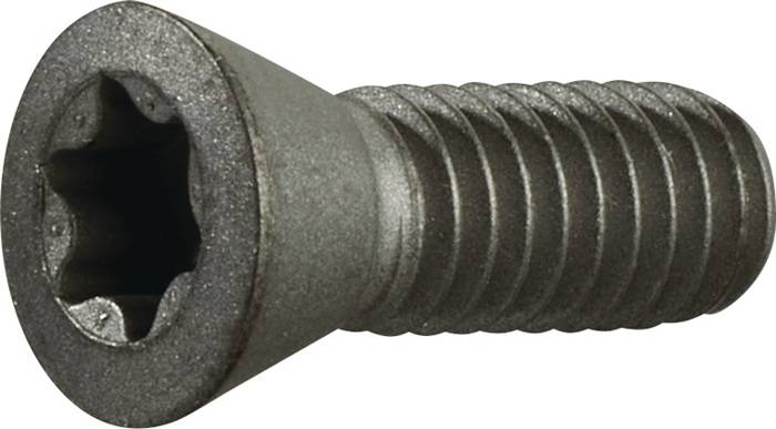 Spannschraube Gr.T20 f.TCMT 16/SCMT 12 z.Fasenfräser TECWERK
