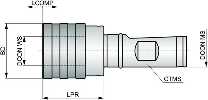 Gewindeschneid-Schnellwechselfutter ISO AW.25-QTCC.M3.M14 D.25mm m. Wedon-Schaft