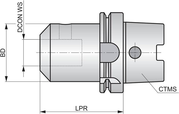 Weldon-Schaftfräserhalter ISO HSK.100A-W.25.100 D.25mm PRAMET