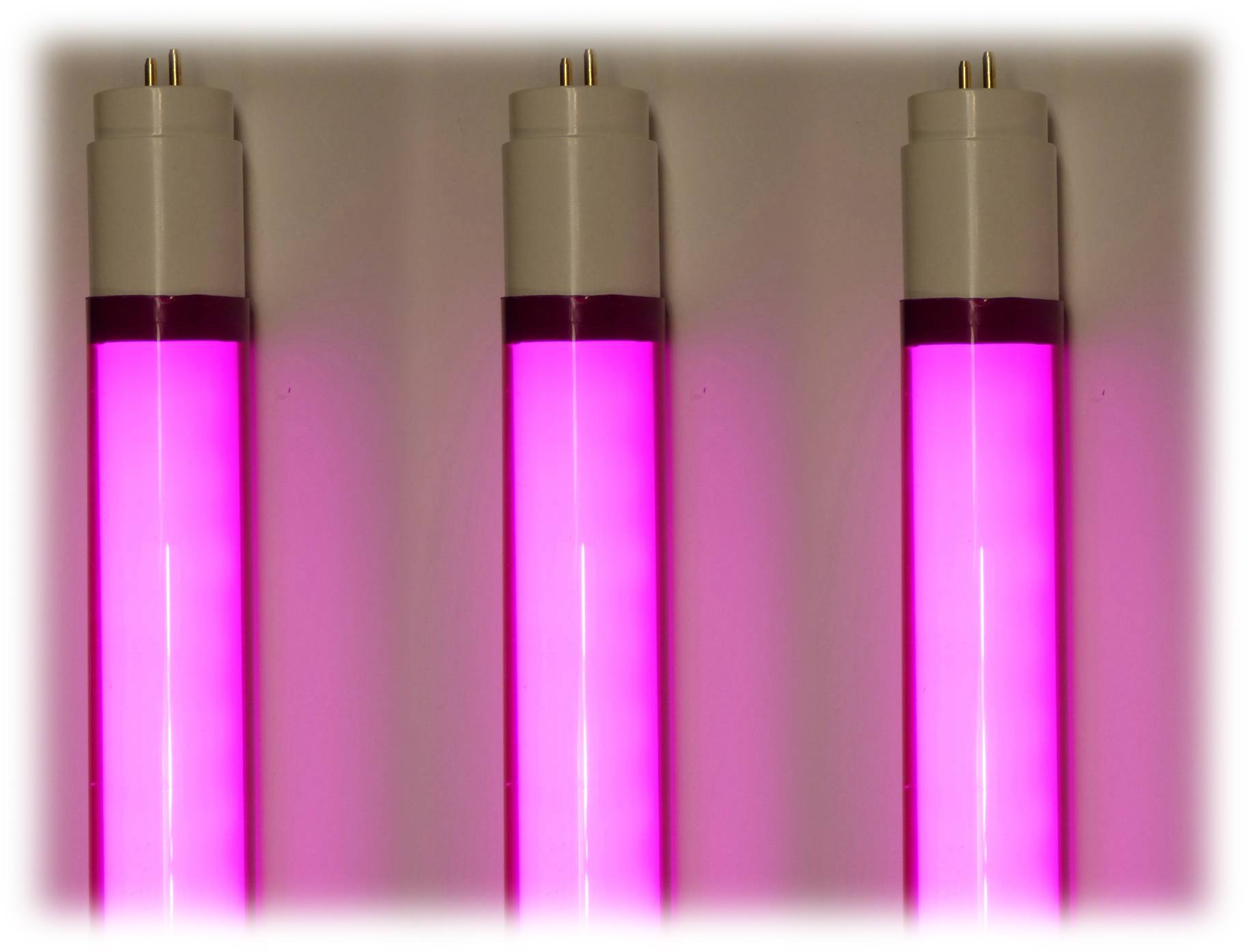 8894 LED Röhre 24 Watt T8 150cm 2500 Lumen Kunststoff 3er Satz Pink