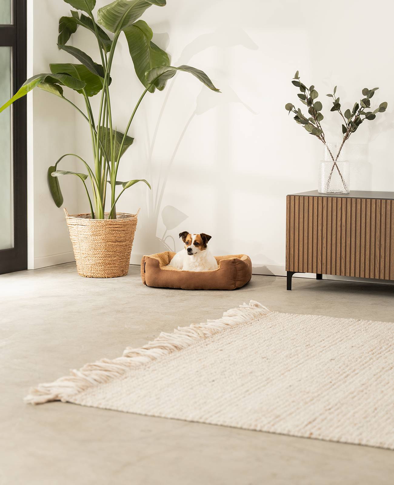 lionto Hundebett, weiches Kuschelbett mit herausnehmbarem Wendekissen & Anti-Rutsch-Boden, 60x48 cm, braun/beige