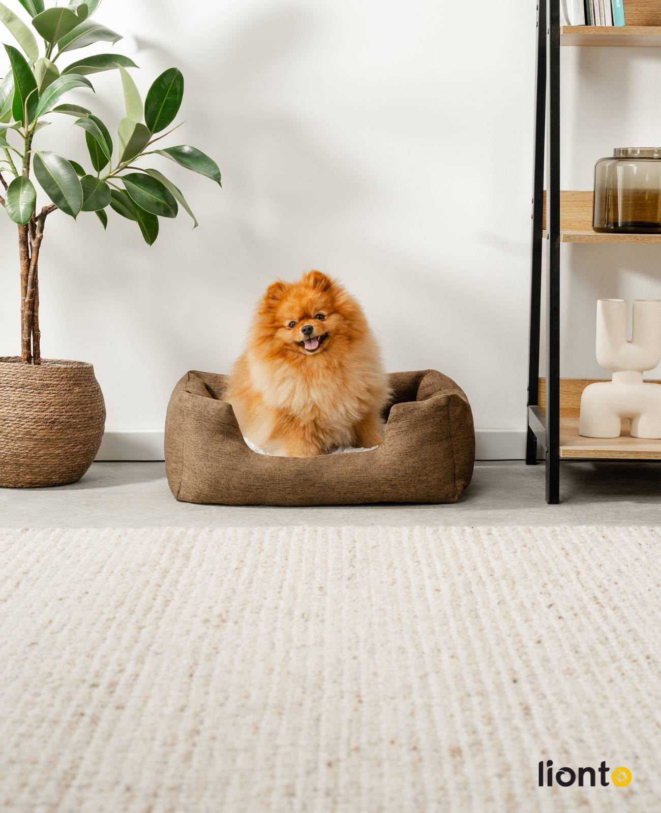 lionto Kuschelbett für Hunde, gemütliches Hundebett mit herausnehmbarem Wendekissen, rutschfestem Boden, 60x50 cm, braun