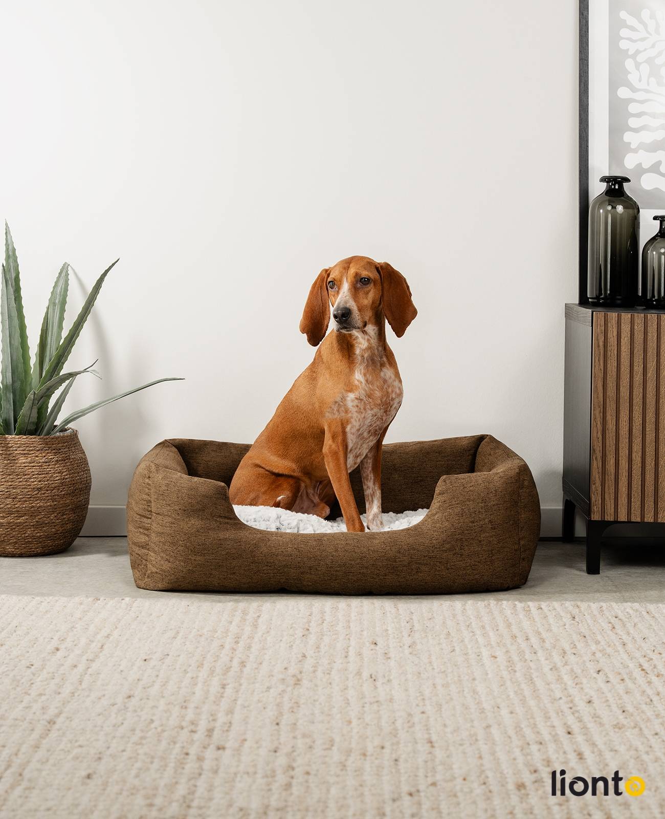 lionto Kuschelbett für Hunde, gemütliches Hundebett mit herausnehmbarem Wendekissen, rutschfestem Boden, 80x60 cm, braun