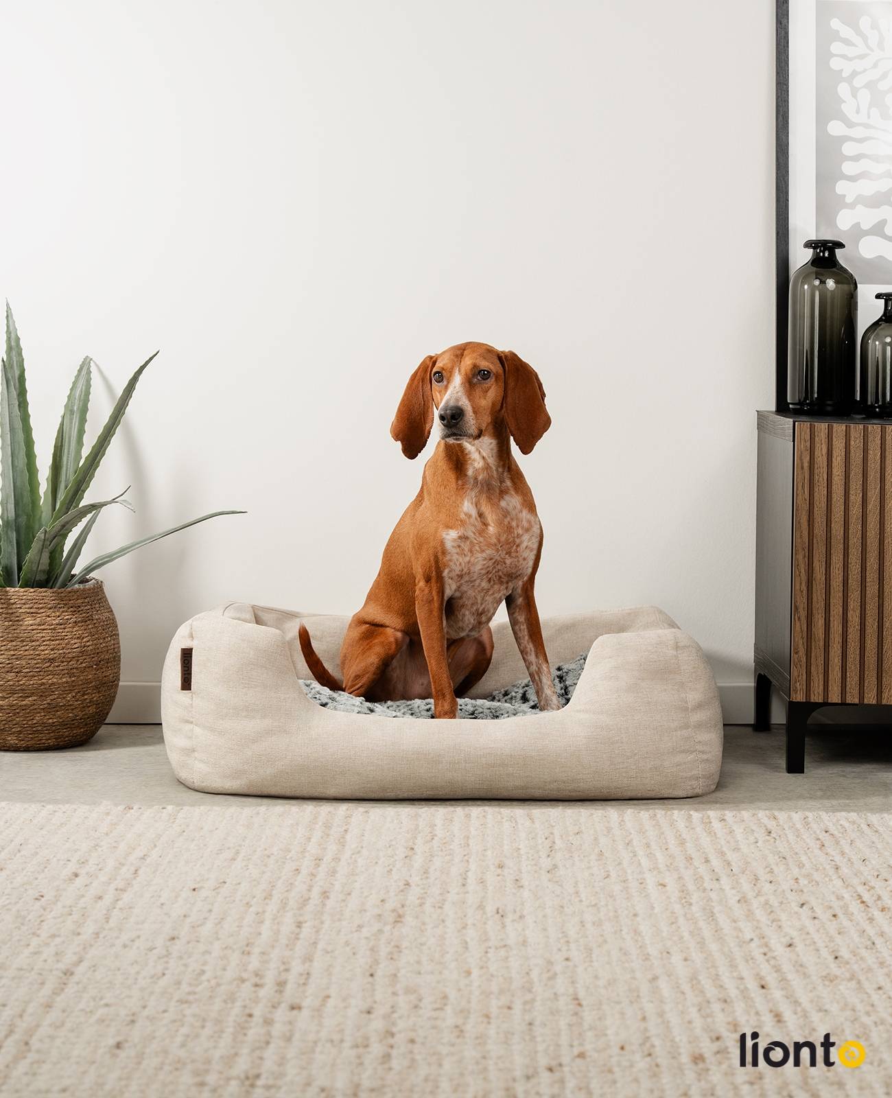 lionto Kuschelbett für Hunde, gemütliches Hundebett mit herausnehmbarem Wendekissen, rutschfestem Boden, 80x60 cm, beige