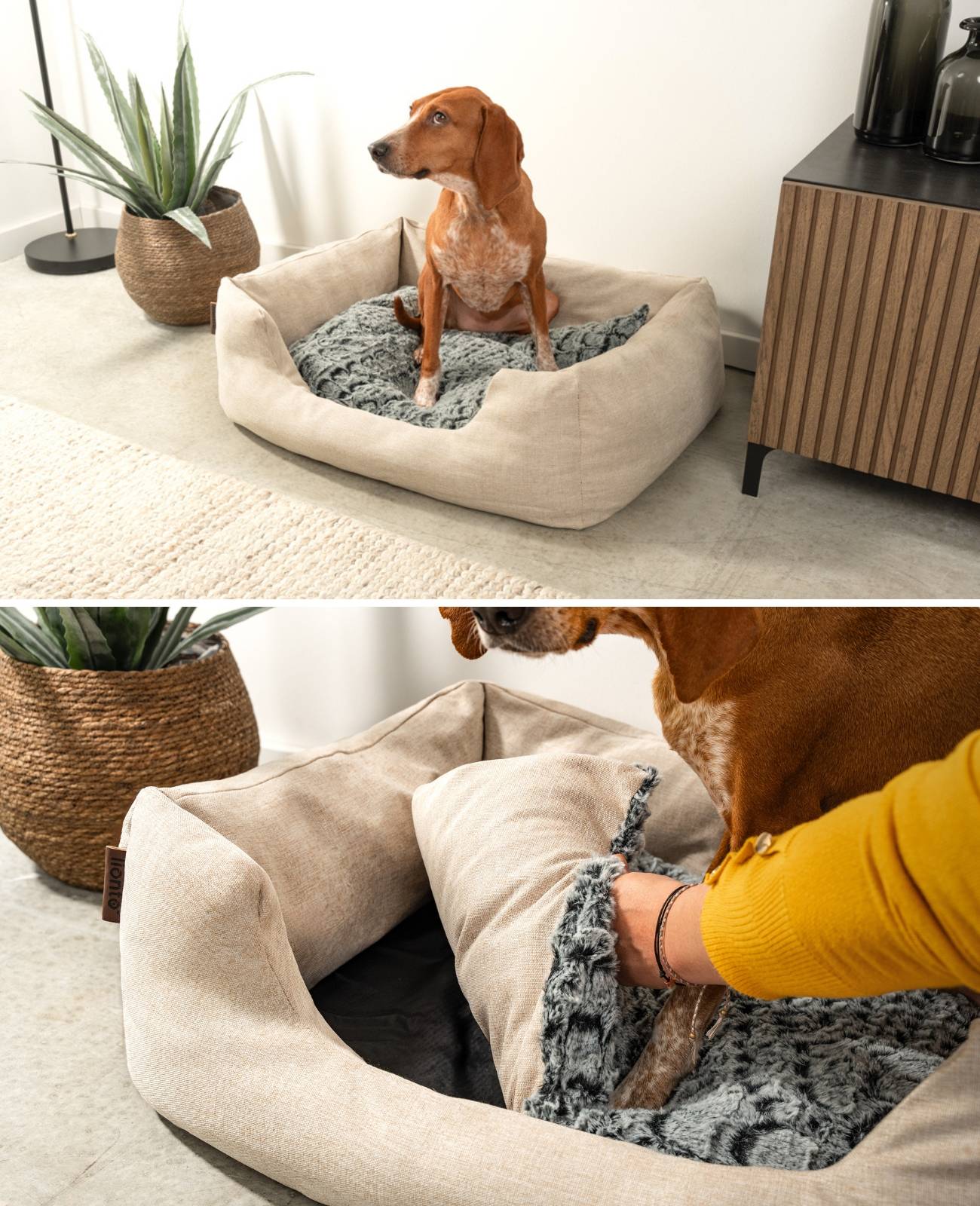 lionto Kuschelbett für Hunde, gemütliches Hundebett mit herausnehmbarem Wendekissen, rutschfestem Boden, 80x60 cm, beige