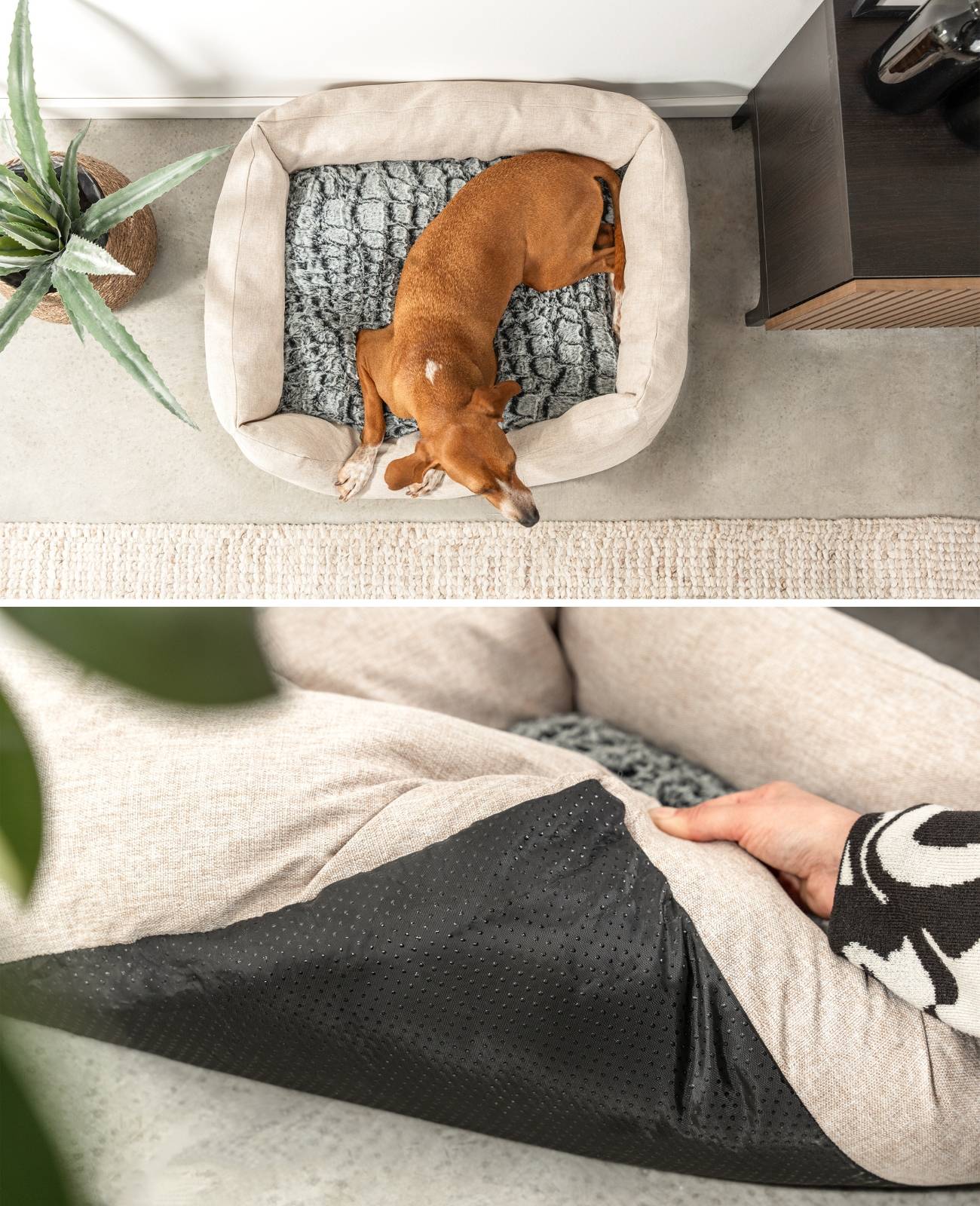 lionto Kuschelbett für Hunde, gemütliches Hundebett mit herausnehmbarem Wendekissen, rutschfestem Boden, 80x60 cm, beige