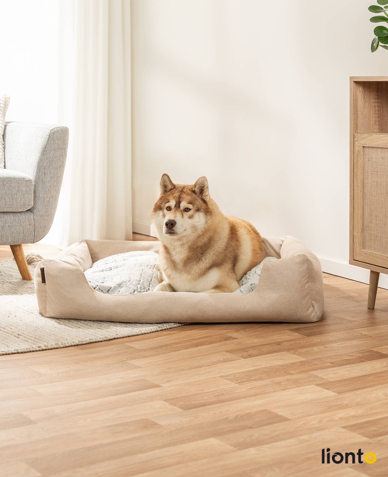 lionto Kuschelbett für Hunde, gemütliches Hundebett mit herausnehmbarem Wendekissen, rutschfestem Boden, 110x80 cm, beige