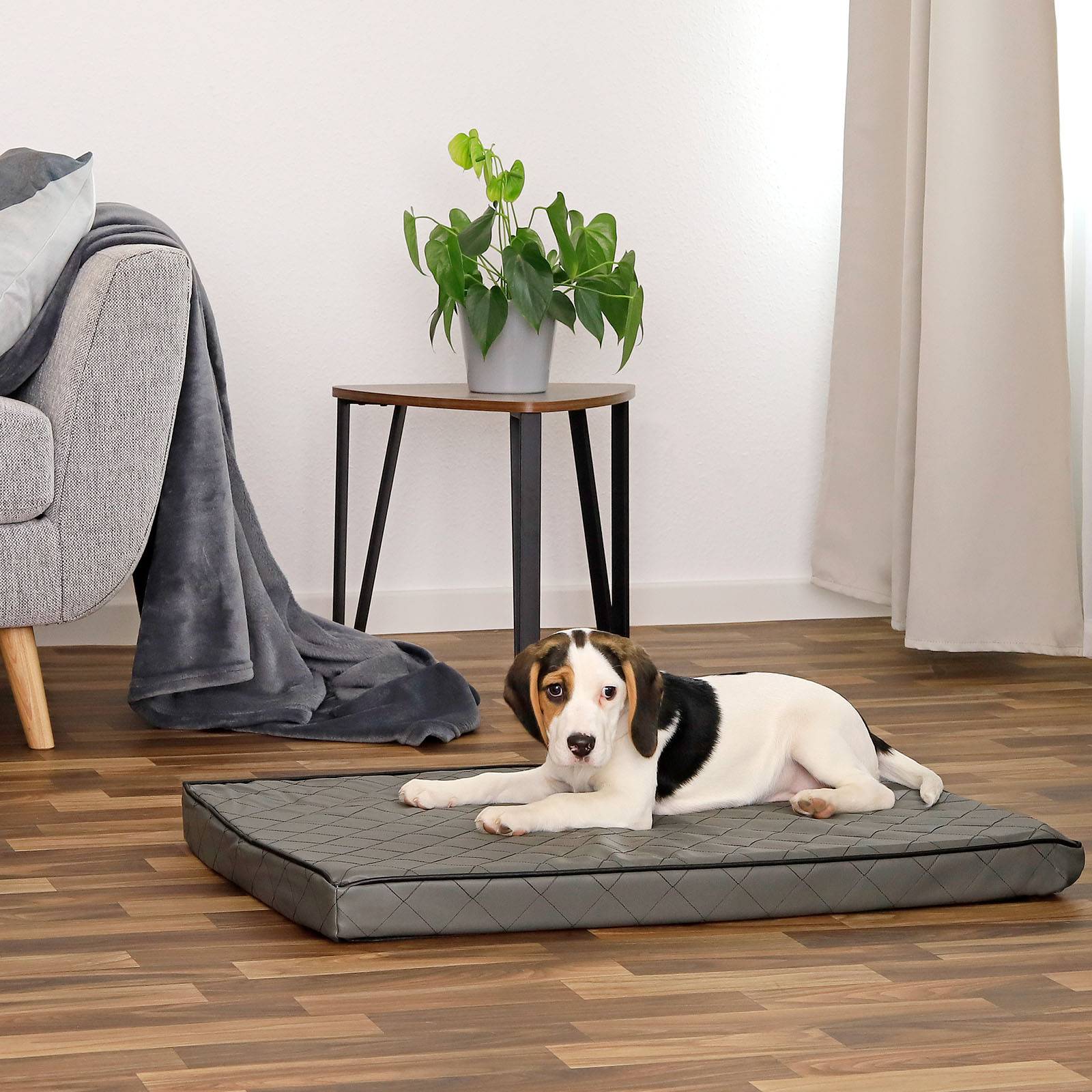 lionto Hundematte orthopädisch, druckentlastende Memory-Foam Liegefläche, rutschfeste Unterseite & abnehmbarer Bezug, 80x55 cm, grau