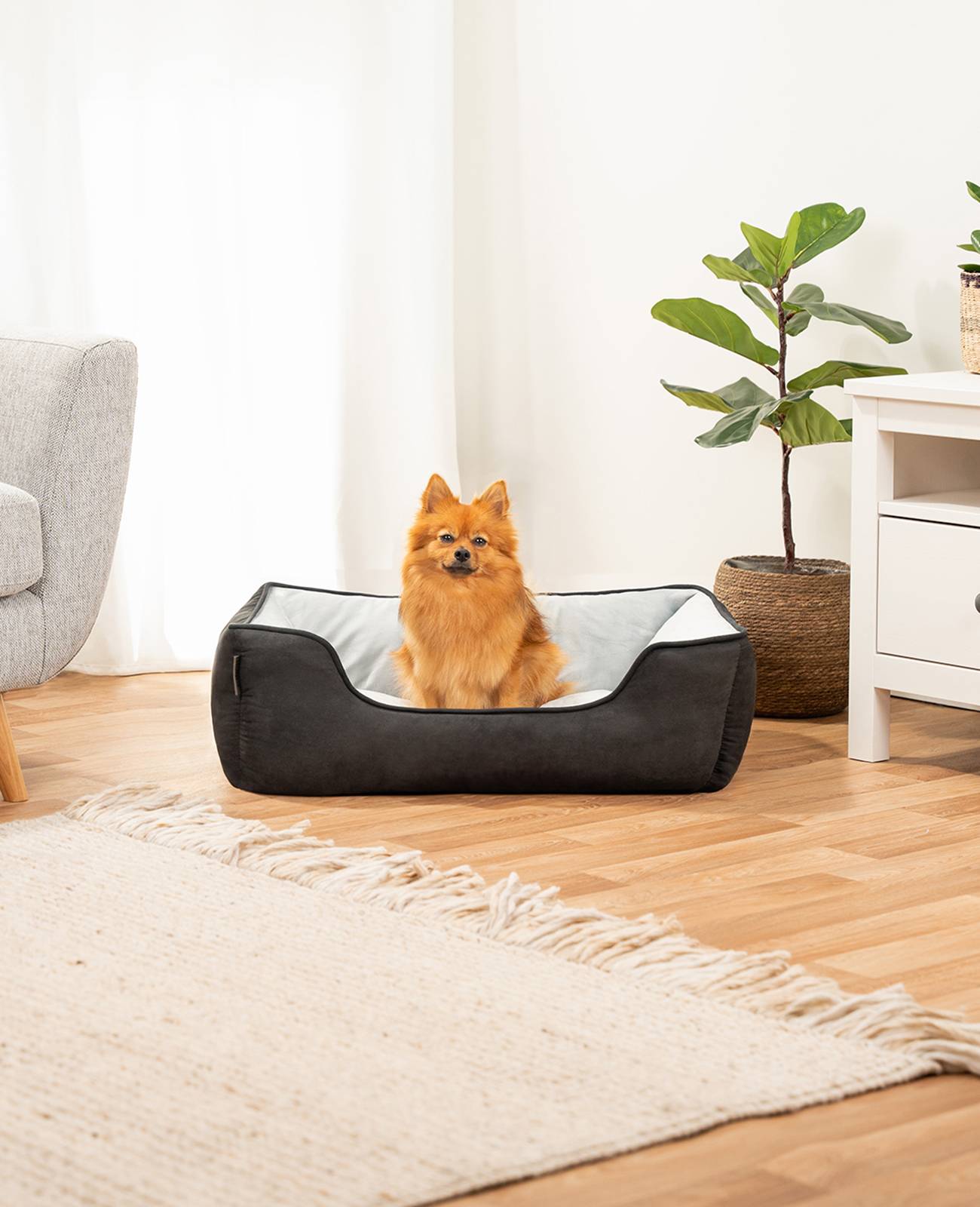lionto Hundebett – 2-in-1 Wendekörbchen, weich gepolstert & pflegeleicht, mit tiefem Einstieg, 80x60 cm, schwarz/grau