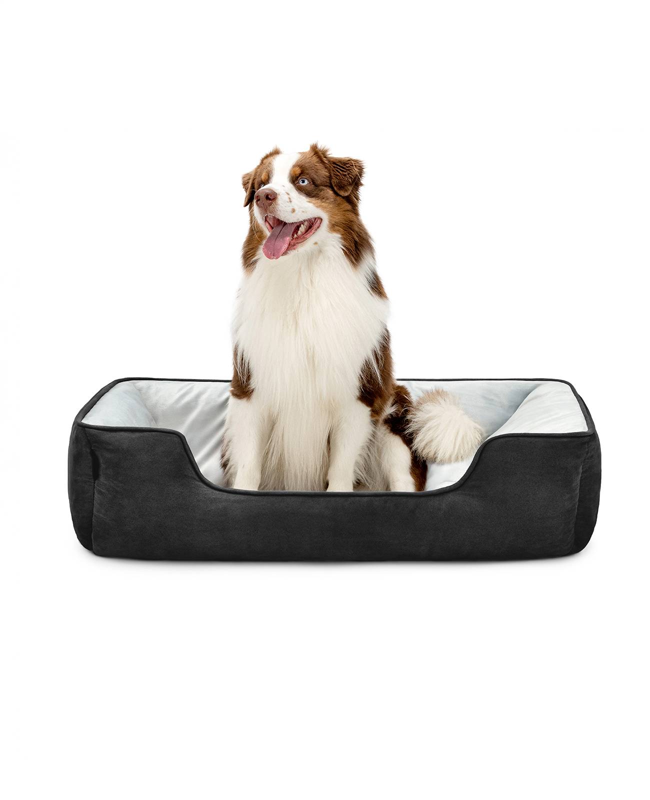 lionto Hundebett – 2-in-1 Wendekörbchen, weich gepolstert & pflegeleicht, mit tiefem Einstieg, 110x80 cm, schwarz/grau
