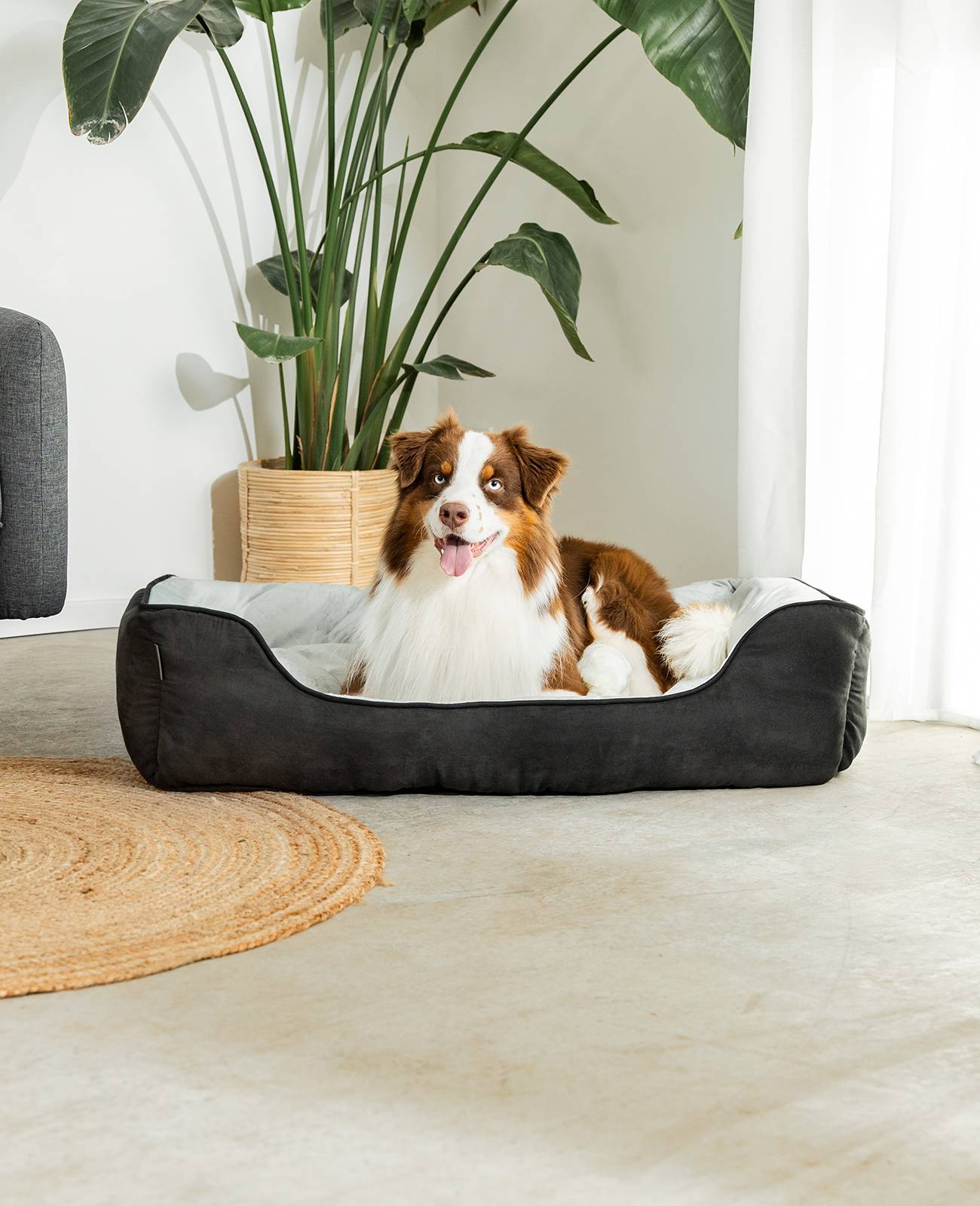 lionto Hundebett – 2-in-1 Wendekörbchen, weich gepolstert & pflegeleicht, mit tiefem Einstieg, 110x80 cm, schwarz/grau
