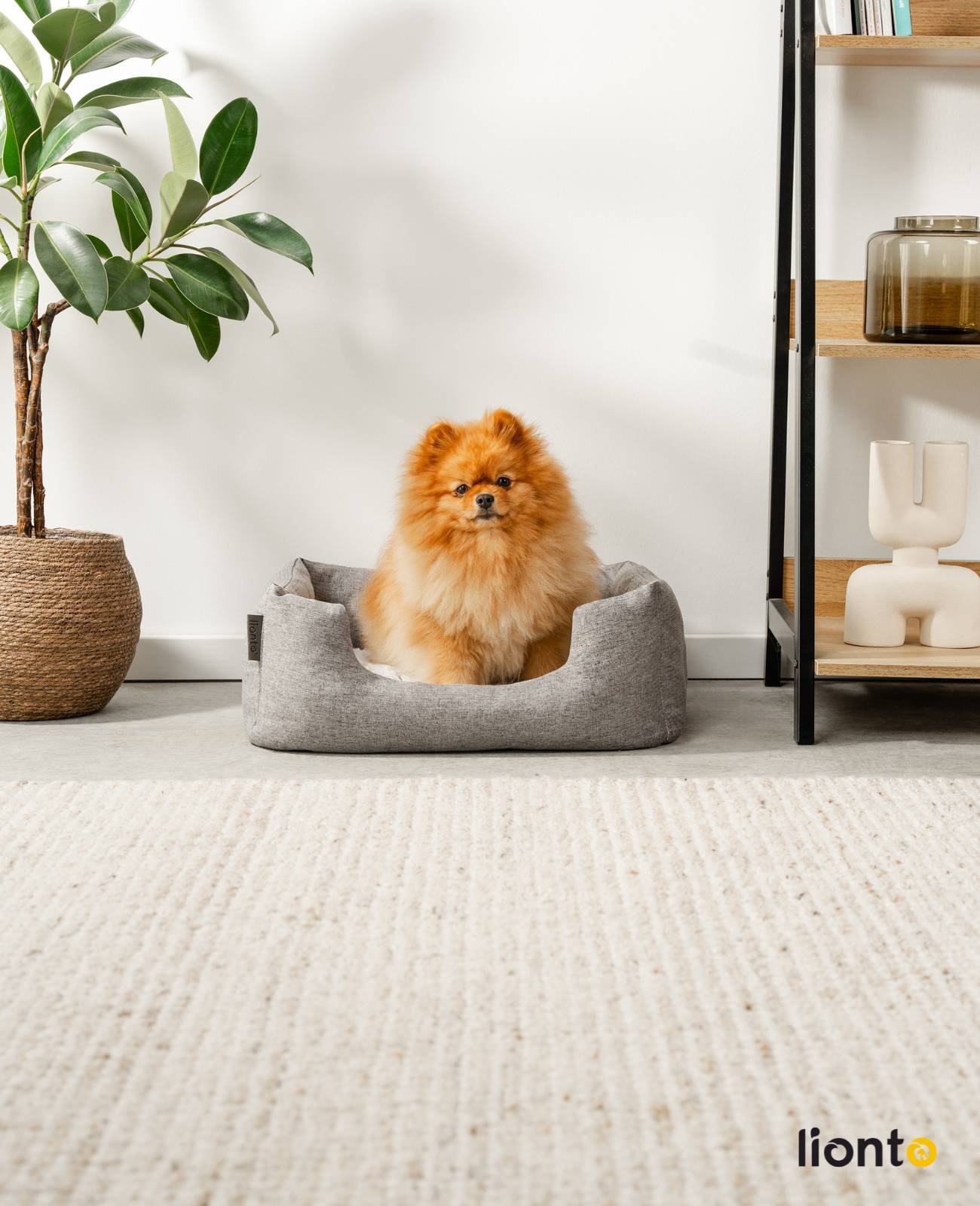 lionto Kuschelbett für Hunde, gemütliches Hundebett mit herausnehmbarem Wendekissen, rutschfestem Boden, 60x50 cm, grau