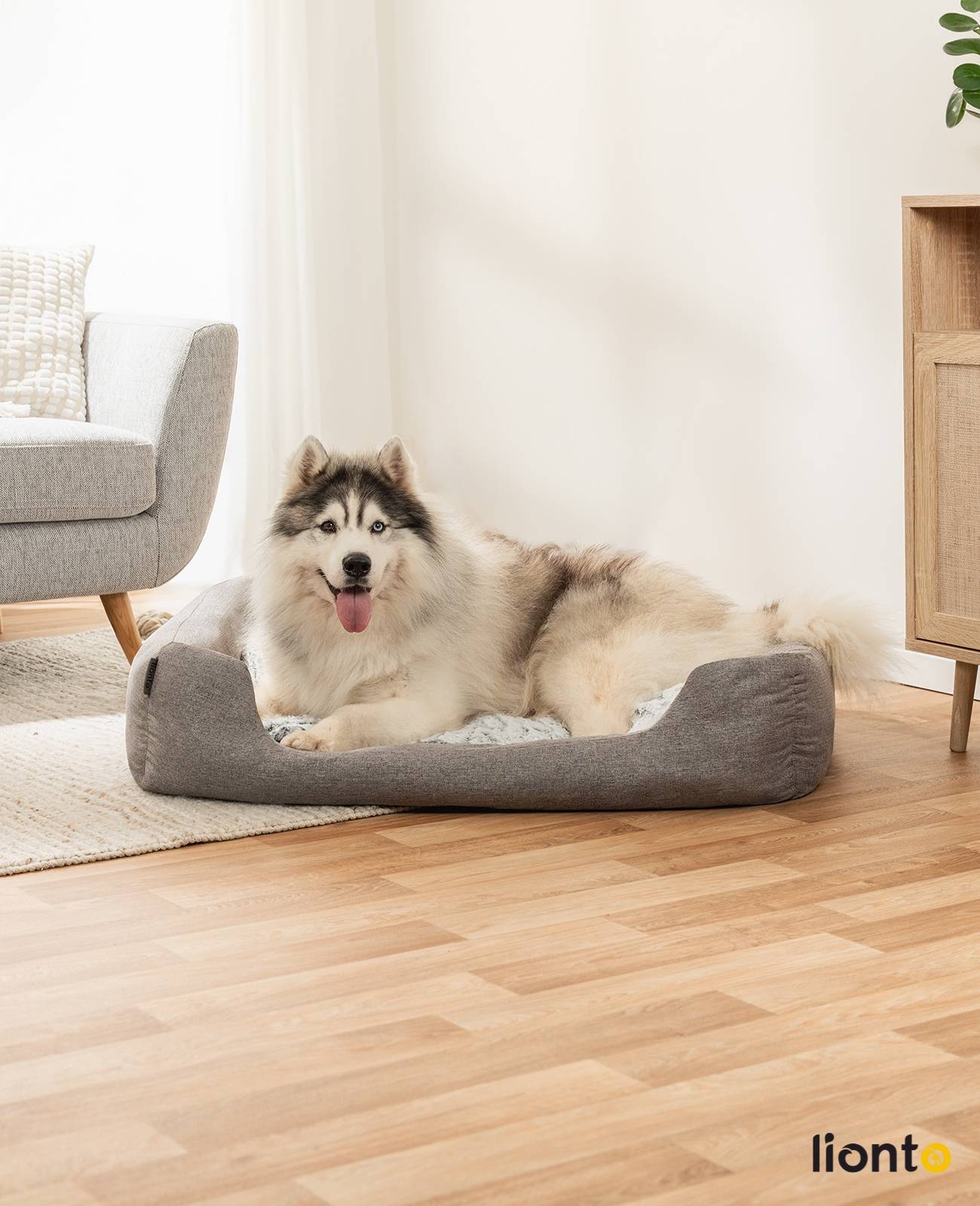 lionto Kuschelbett für Hunde, gemütliches Hundebett mit herausnehmbarem Wendekissen, rutschfestem Boden, 110x80 cm, grau