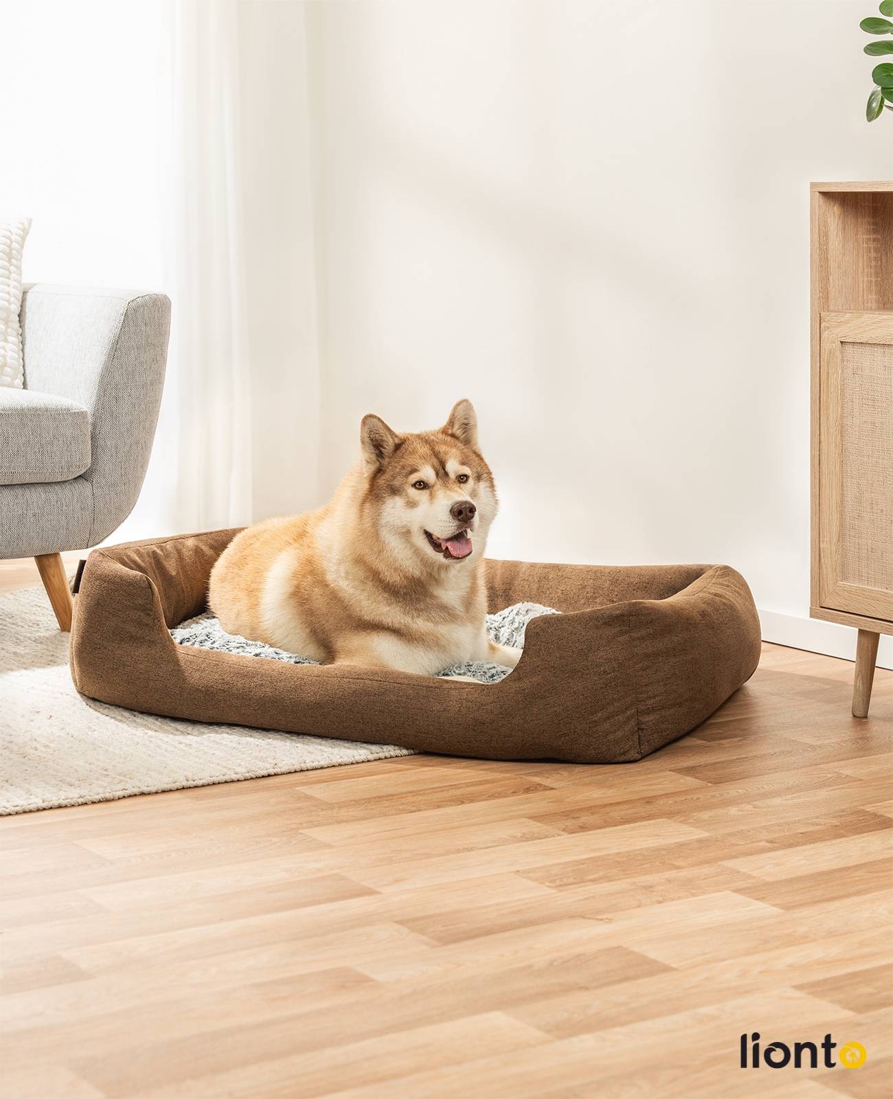 lionto Kuschelbett für Hunde, gemütliches Hundebett mit herausnehmbarem Wendekissen, rutschfestem Boden, 110x80 cm, braun