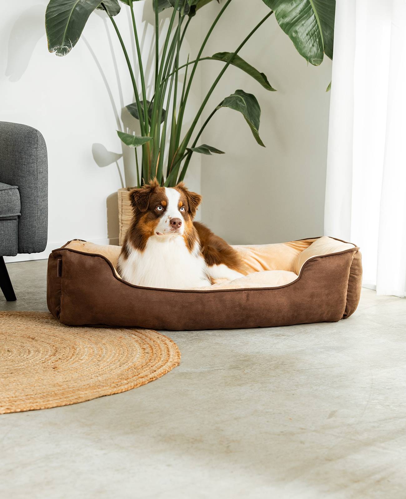 lionto Hundebett – 2-in-1 Wendekörbchen, weich gepolstert & pflegeleicht, mit tiefem Einstieg, 110x80 cm, braun/beige