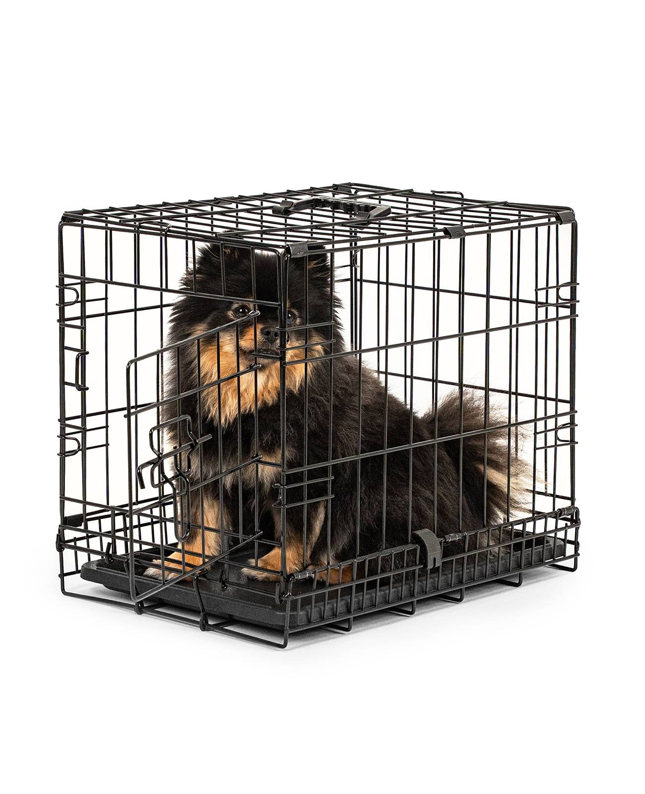 lionto Transportkäfig für Tiere, faltbarer Metallkäfig mit Trennwand, Kunststoffboden & Sicherheitsverriegelung, 45x31x36 cm