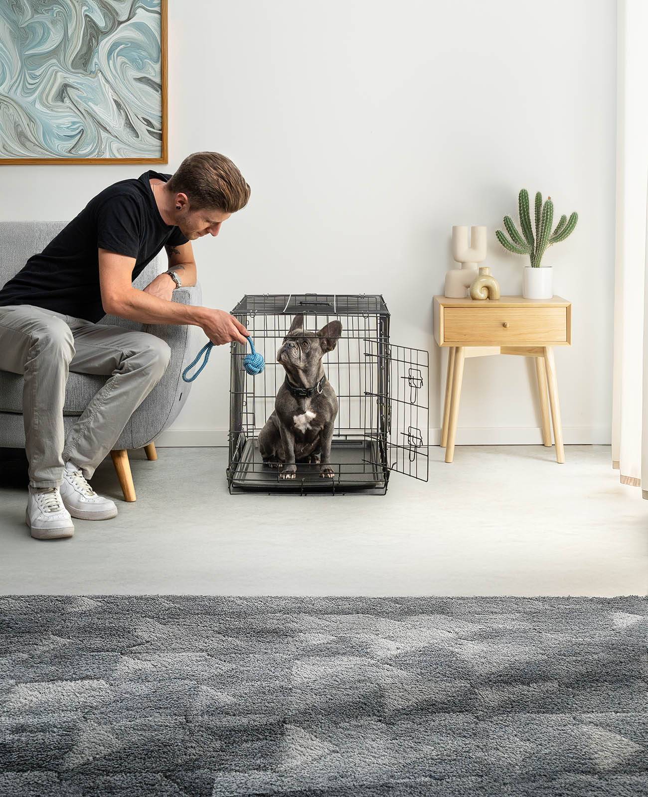 lionto Transportkäfig für Tiere, faltbarer Metallkäfig mit Trennwand, Kunststoffboden & Sicherheitsverriegelung, 76x49x56 cm