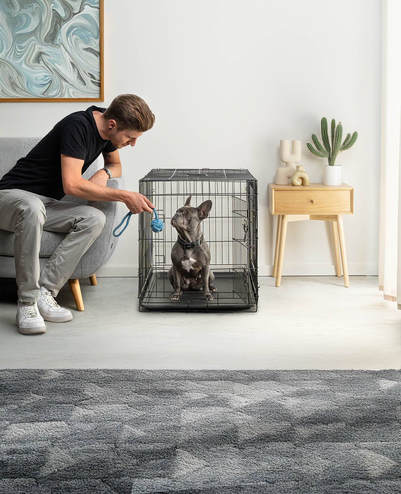 lionto Transportkäfig für Tiere, faltbarer Metallkäfig mit Trennwand, Kunststoffboden & Sicherheitsverriegelung, 92x58x64 cm