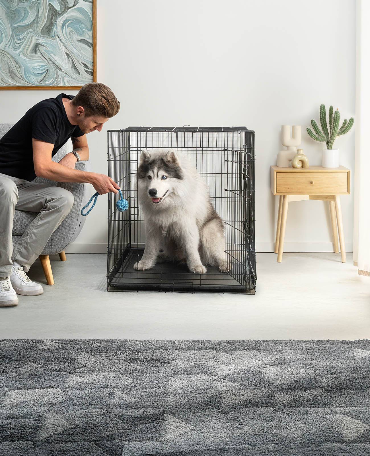 lionto Transportkäfig für Tiere, faltbarer Metallkäfig mit Trennwand, Kunststoffboden & Sicherheitsverriegelung, 106x71x77 cm