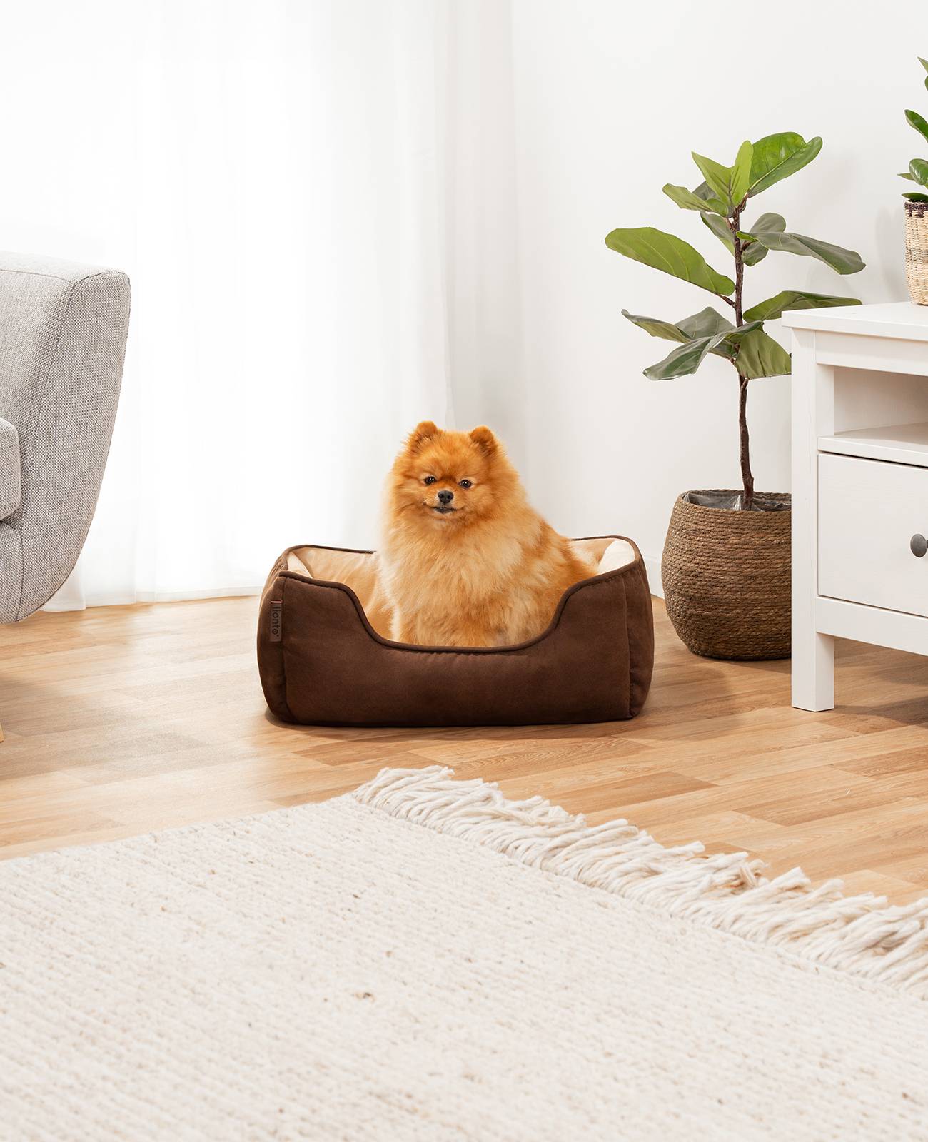 lionto Hundebett – 2-in-1 Wendekörbchen, weich gepolstert & pflegeleicht, mit tiefem Einstieg, 60x50 cm, braun/beige