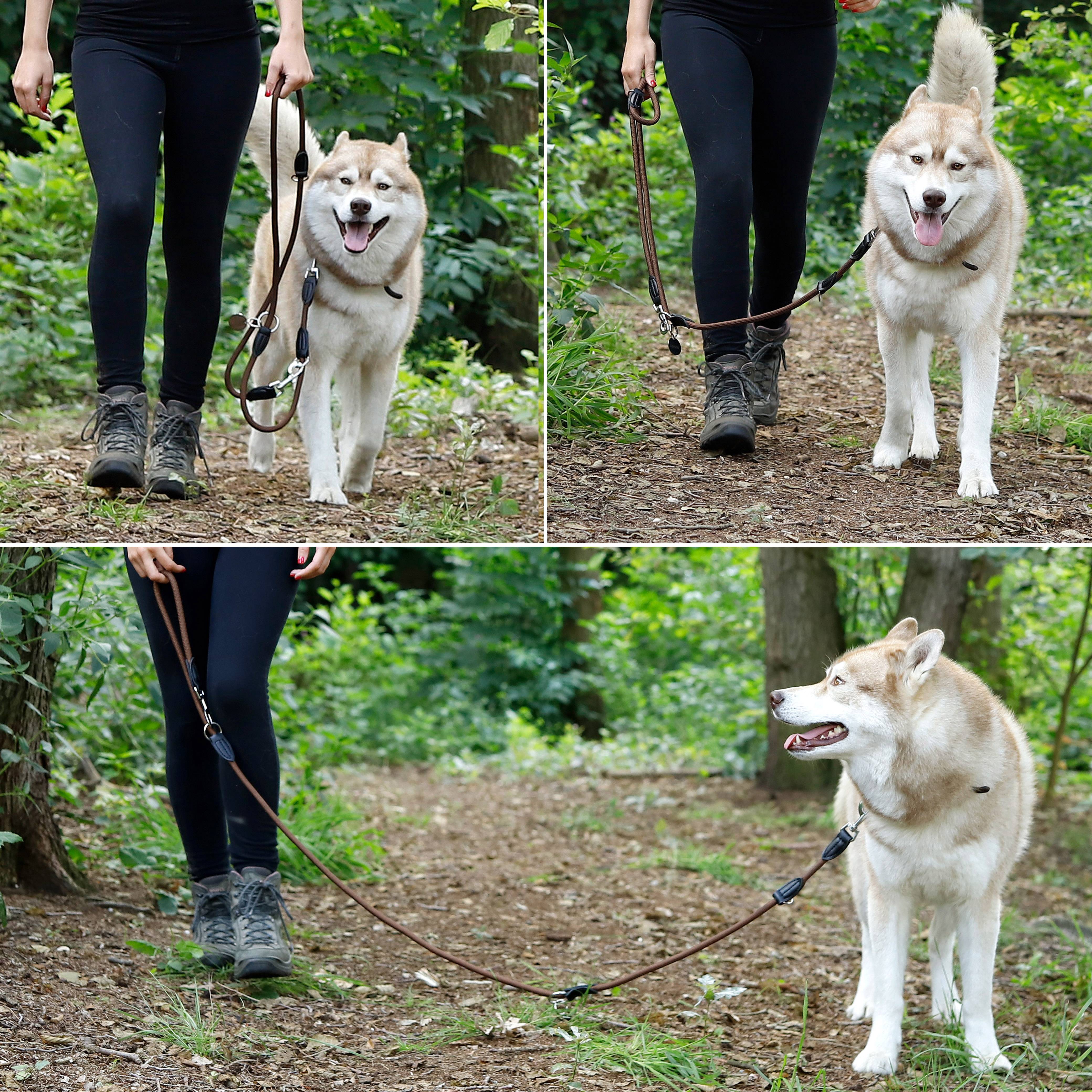 lionto Multifunktionsleine, 3-fach verstellbare Hundeleine aus robustem Nylon mit Kunstleder & Edelstahl, 200 cm, braun