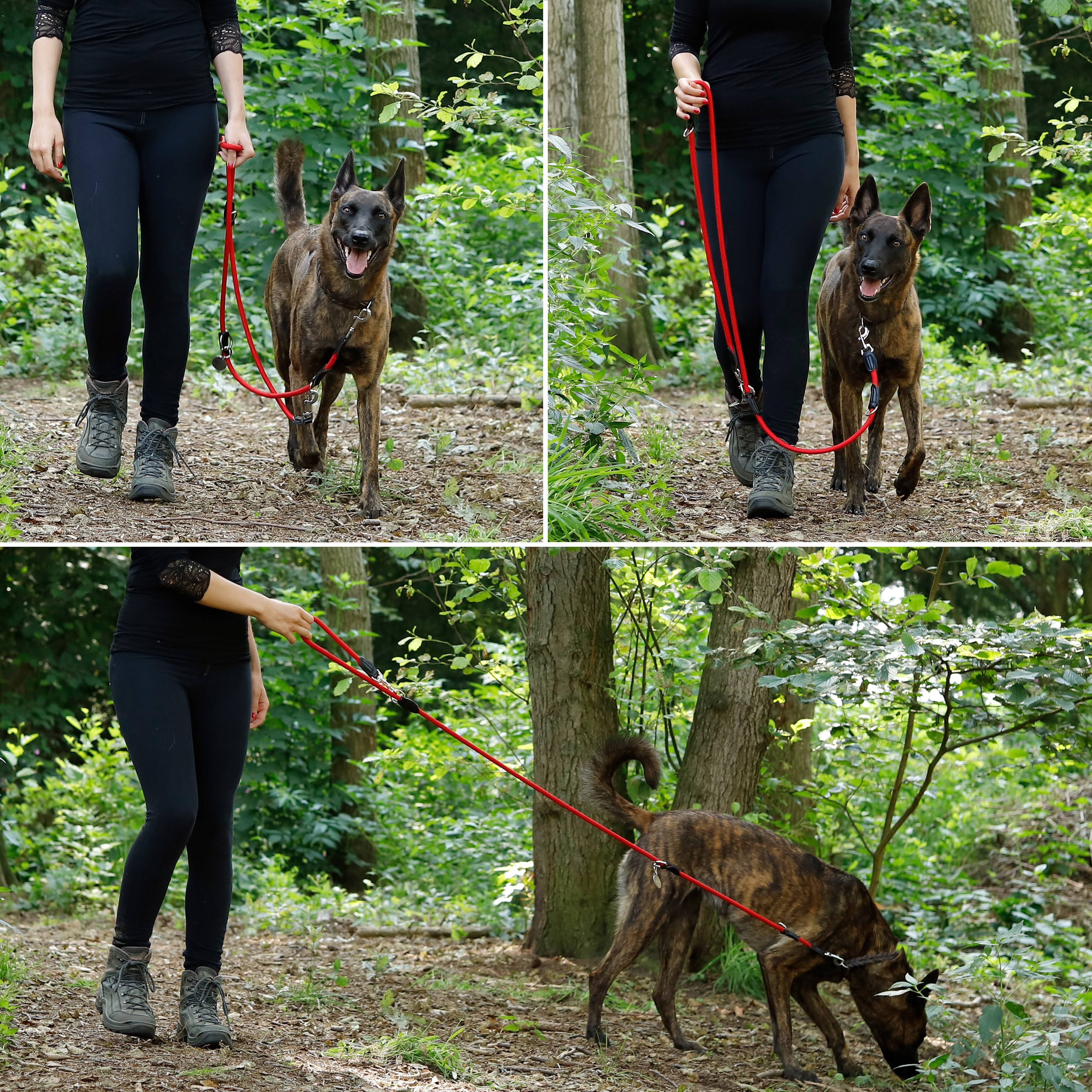 lionto Multifunktionsleine, 3-fach verstellbare Hundeleine aus robustem Nylon mit Kunstleder & Edelstahl, 200 cm, rot