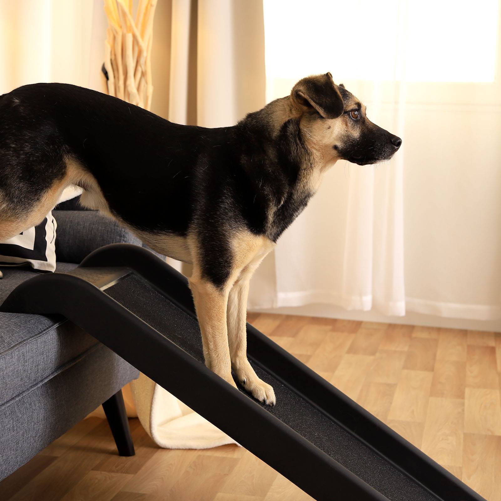 lionto Hunderampe, robuste Kunststofframpe mit Anti-Rutsch-Oberfläche, gelenkschonend & pflegeleicht, belastbar bis 90 kg