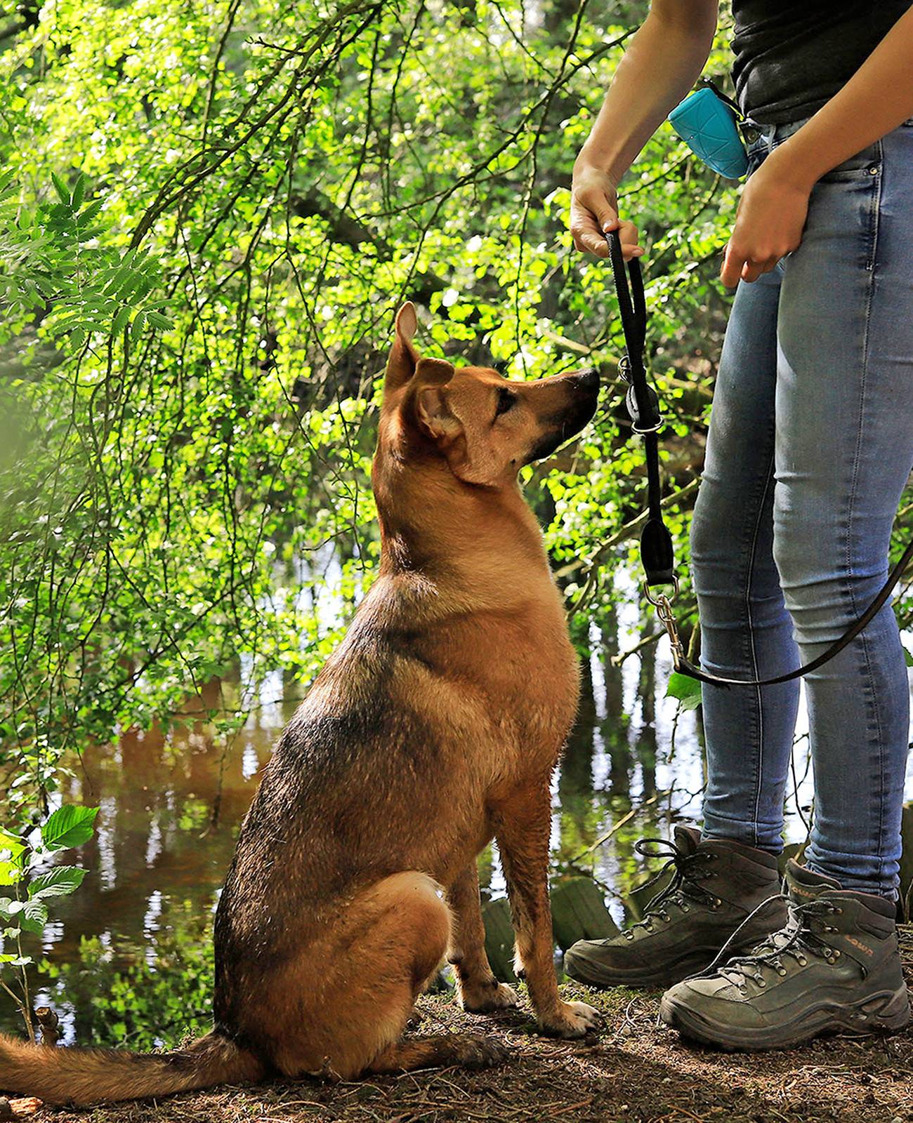lionto Zugstopp-Halsband, verstellbar & leicht, Retrieverhalsband aus Nylon mit Stoppring, Länge 30 cm, Durchmesser 0,8 cm, schwarz