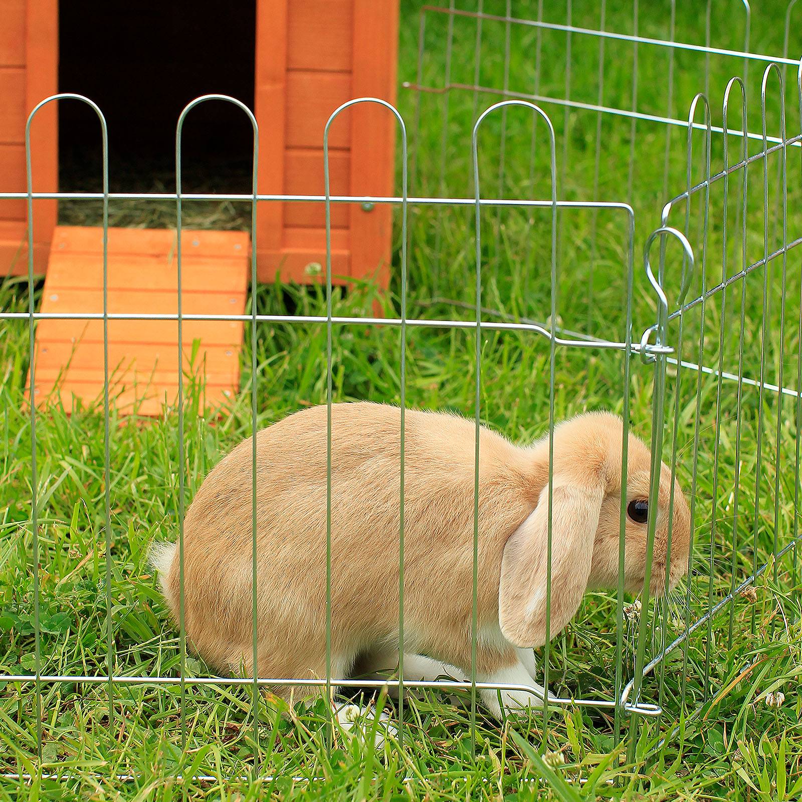 lionto Kleintier Freilaufgehege 8-teilig mit Tür & Netzabdeckung, wetterfester Auslauf für Kaninchen & Meerschweinchen, 59x38 cm