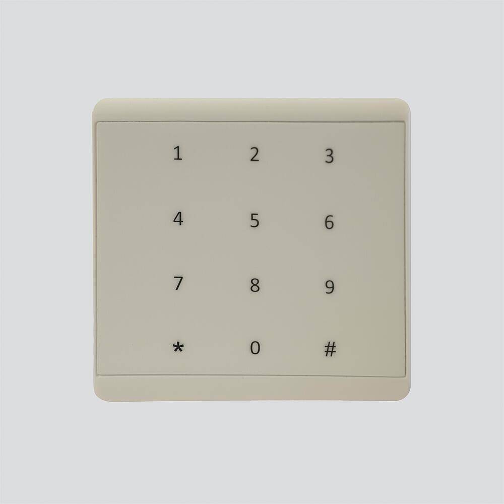 Siedle&Söhne readID Wall E SE 1090 DKTW