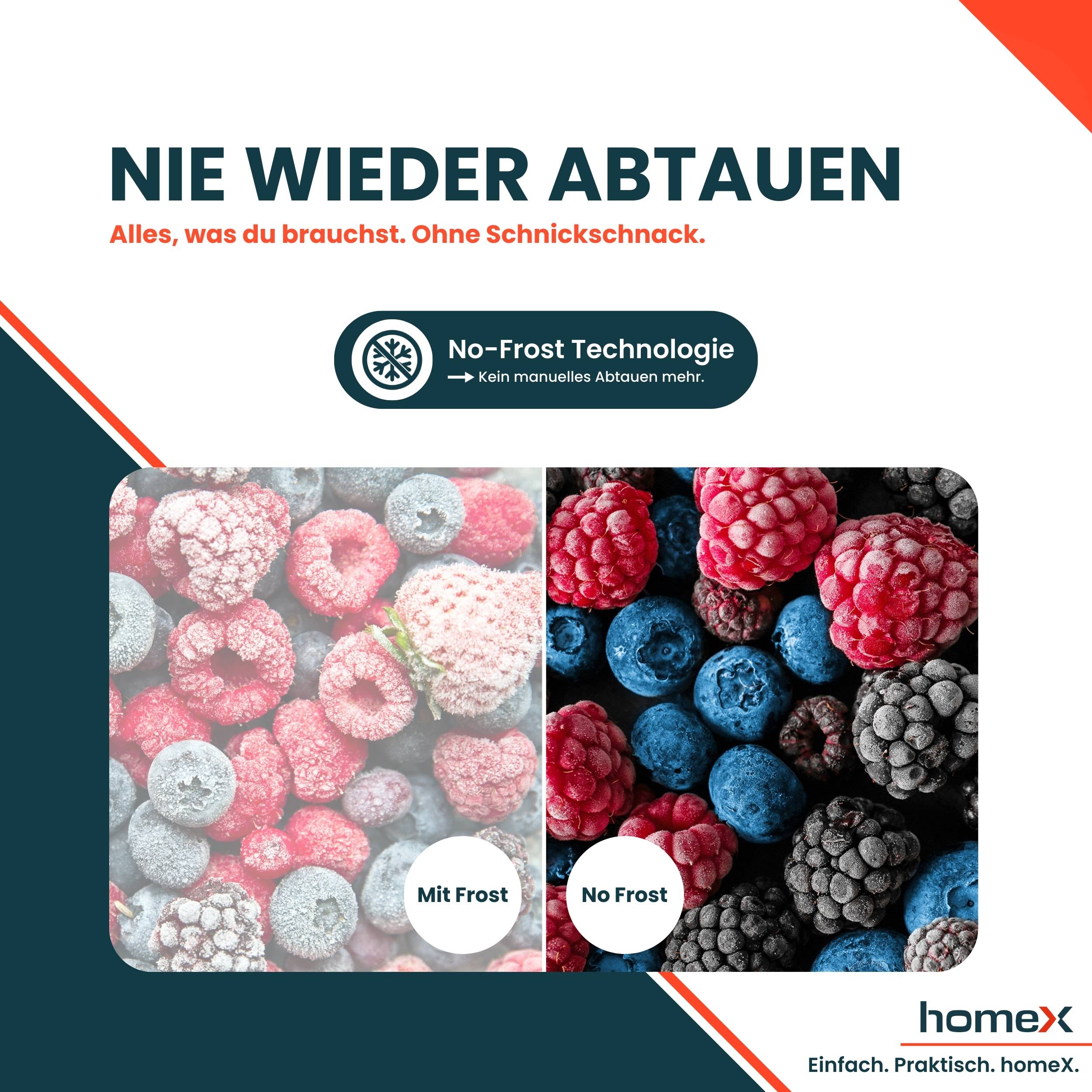 homeX Gefrierschrank No Frost, Tiefkühlschrank groß - 204 Liter, 4-Sterne Gefrieren, Super-Frost-Funktion, FSN2041E-S