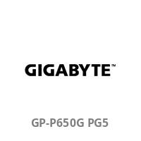 Gigabyte P650G - Netzteil (intern) - ATX12V 3.1/ EPS12V