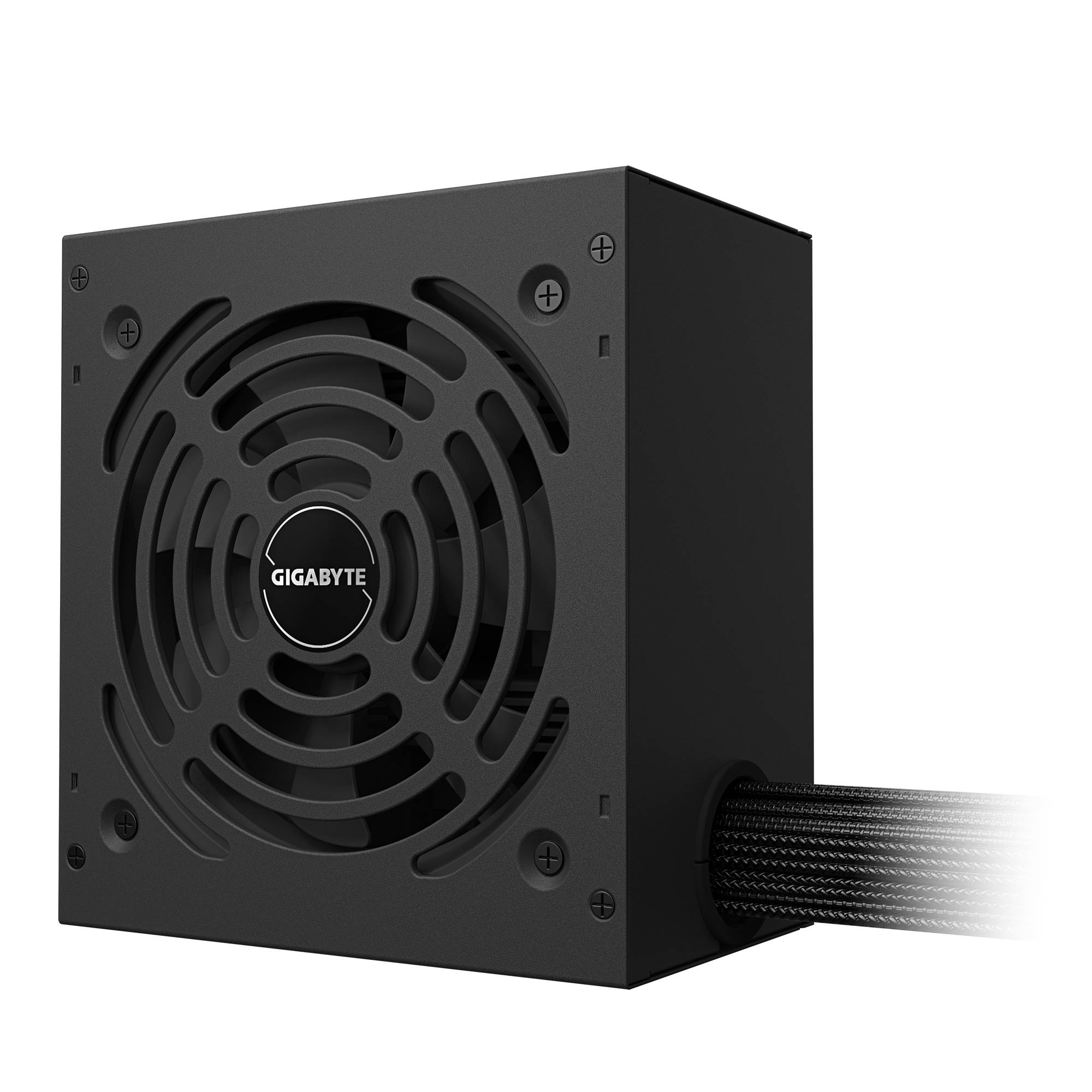 Gigabyte P650G - Netzteil (intern) - ATX12V 3.1/ EPS12V