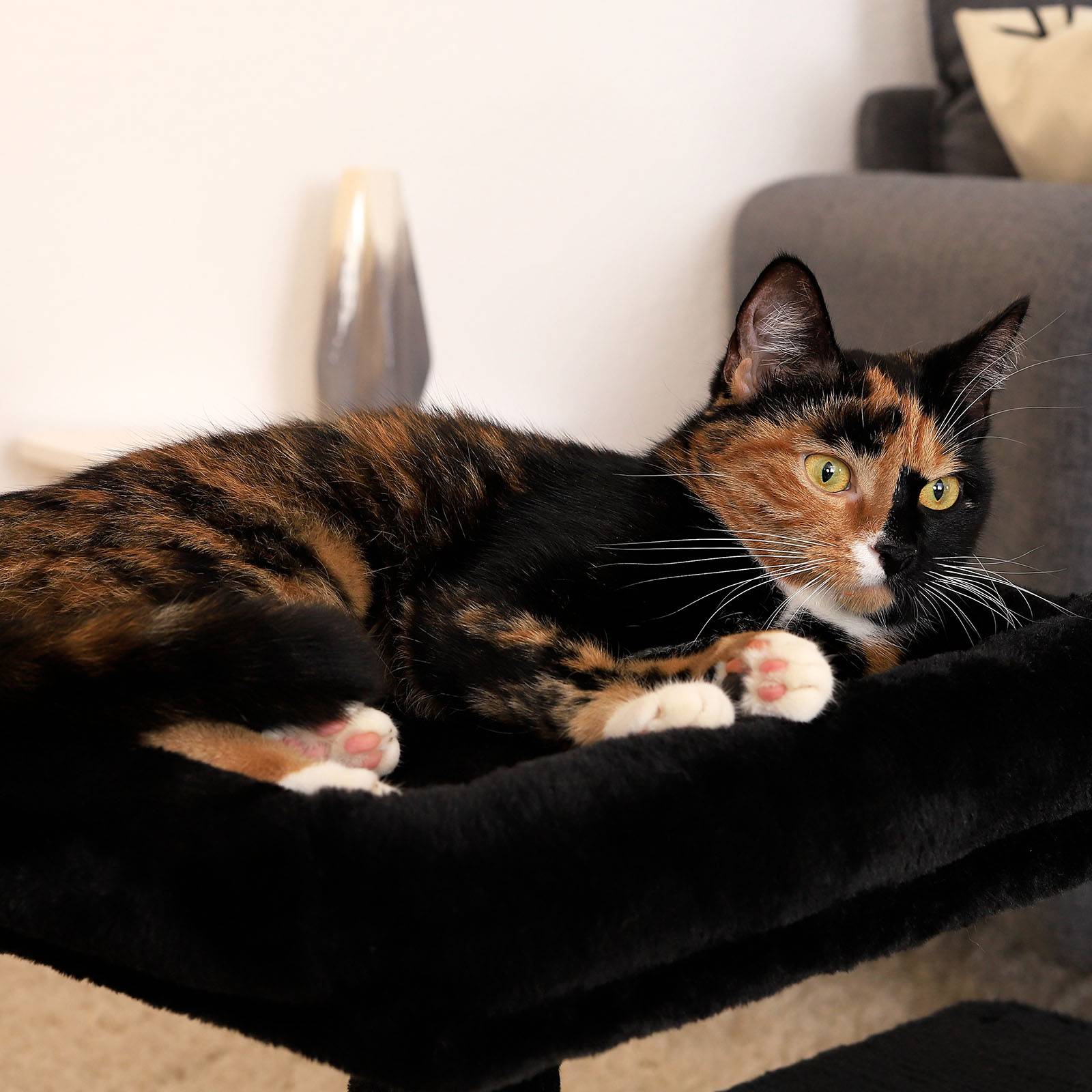 lionto Kratzbaum 50 cm, platzsparender Katzenkratzbaum mit Plüschbezug, Spielball & Sisalstange, für Kitten & Jungtiere, schwarz