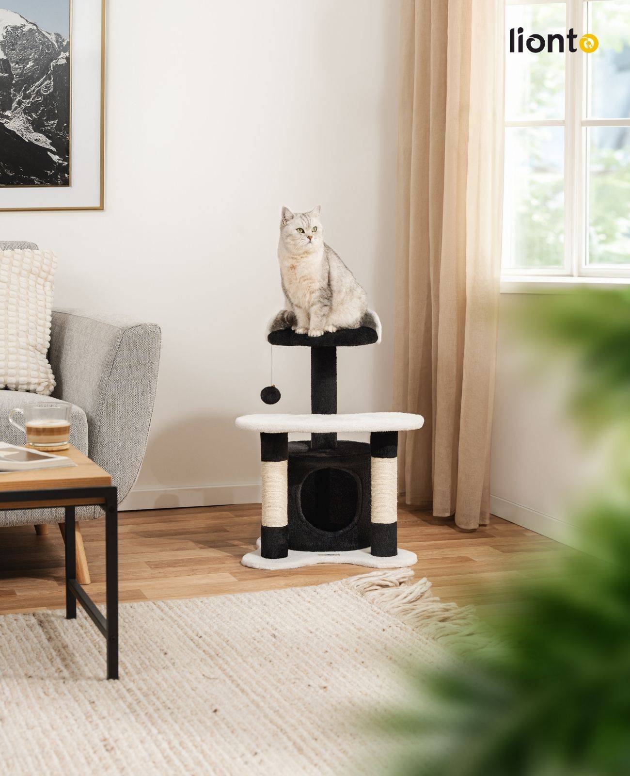 lionto Kratz- & Spielbaum, 65 cm stabiler Katzenbaum mit Sisalstämmen, Plüschhöhle & Spielball, ideal für kleine Katzen, schwarz/weiß