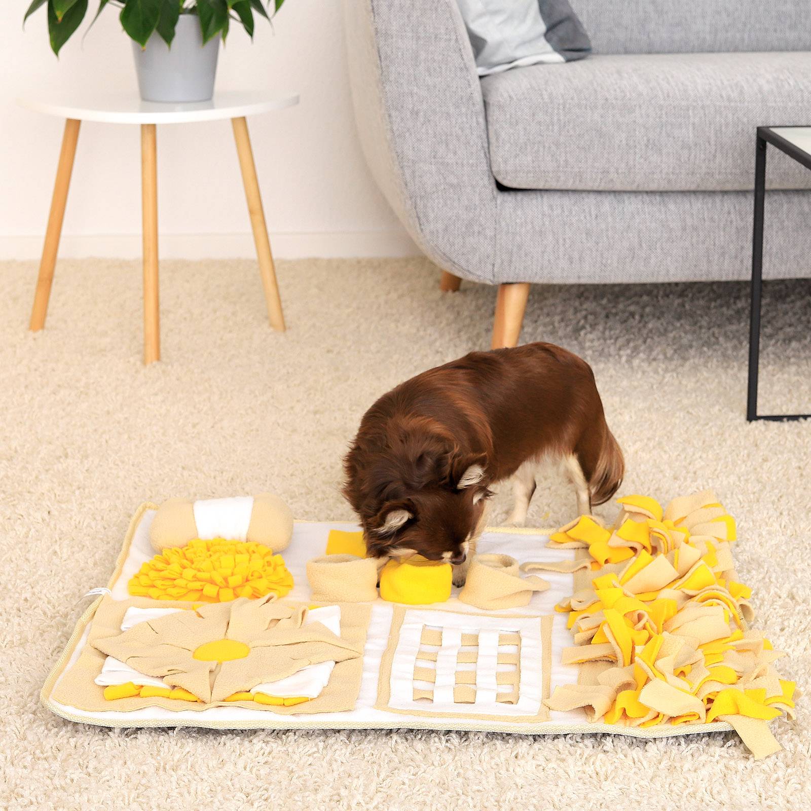 lionto Schnüffelteppich für Hunde, Intelligenzspielzeug & Futterspielmatte, rutschfest & pflegeleicht, 70x60 cm, gelb/braun