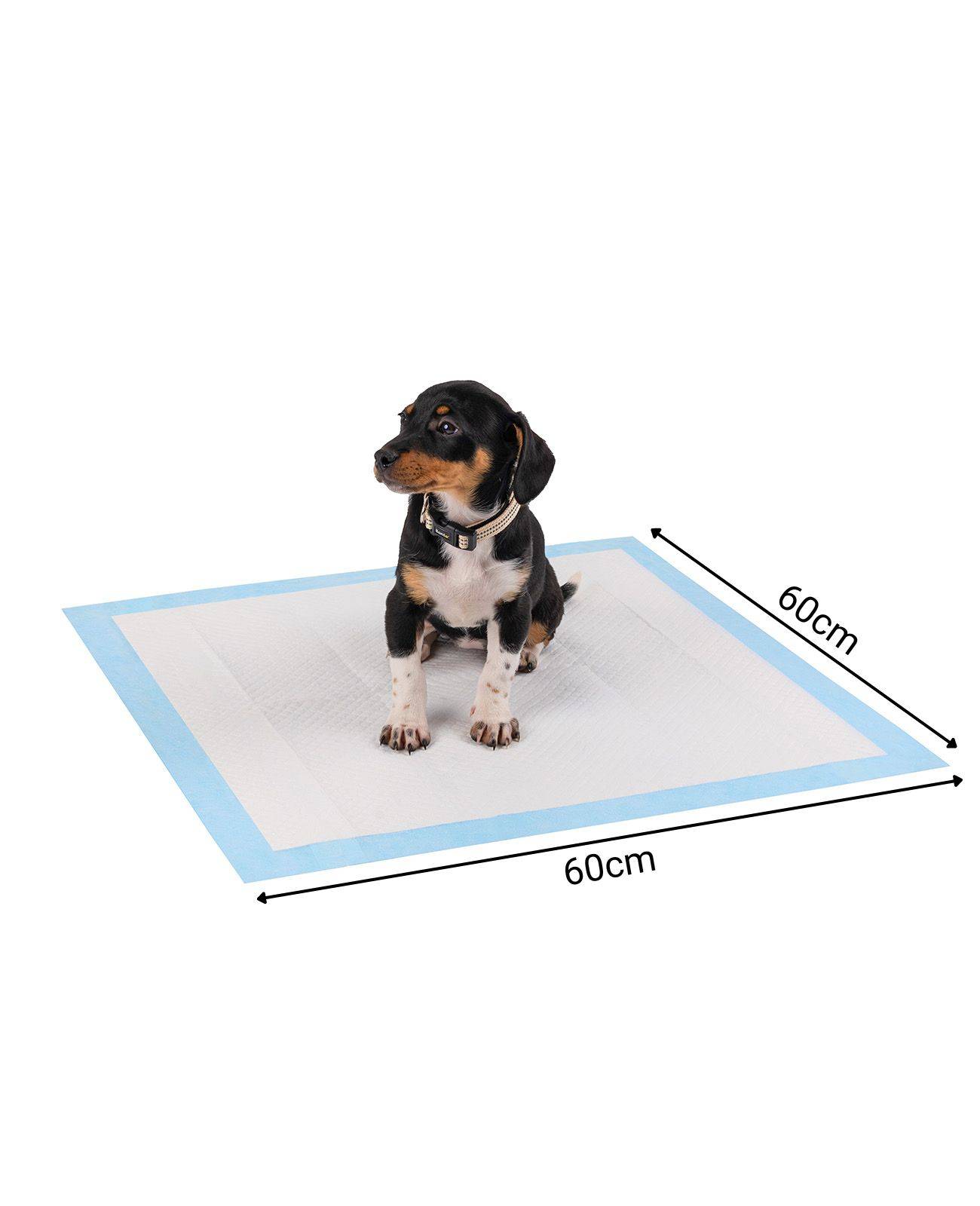 lionto Welpenunterlagen, saugstarke, hygienische Trainingspads mit Auslaufschutz & Geruchsbindung, 60x60 cm, 100 Stück