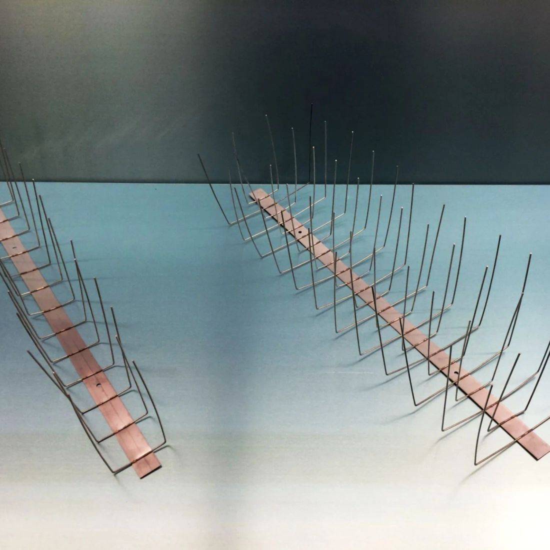 Zwei Reihen von Metallspitzen, die an einem hellrosa Riemen befestigt sind, vor einem hellblauen Hintergrund. Entwickelt, um zu verhindern, dass Vögel landen.