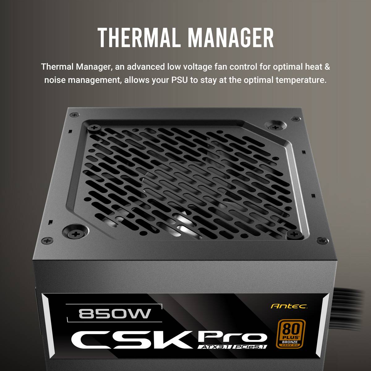 „THERMISCHER MANAGER