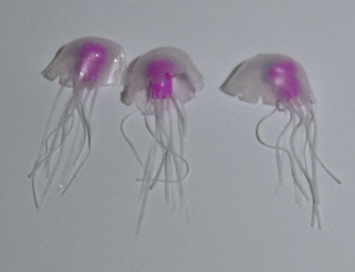 3331 Wassersäulen LED Lampe Höhe 360 mm 3 x Clown Fisch mit Netzteil